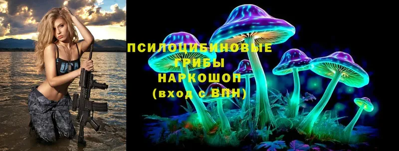 магазин продажи наркотиков  Черногорск  Псилоцибиновые грибы ЛСД 